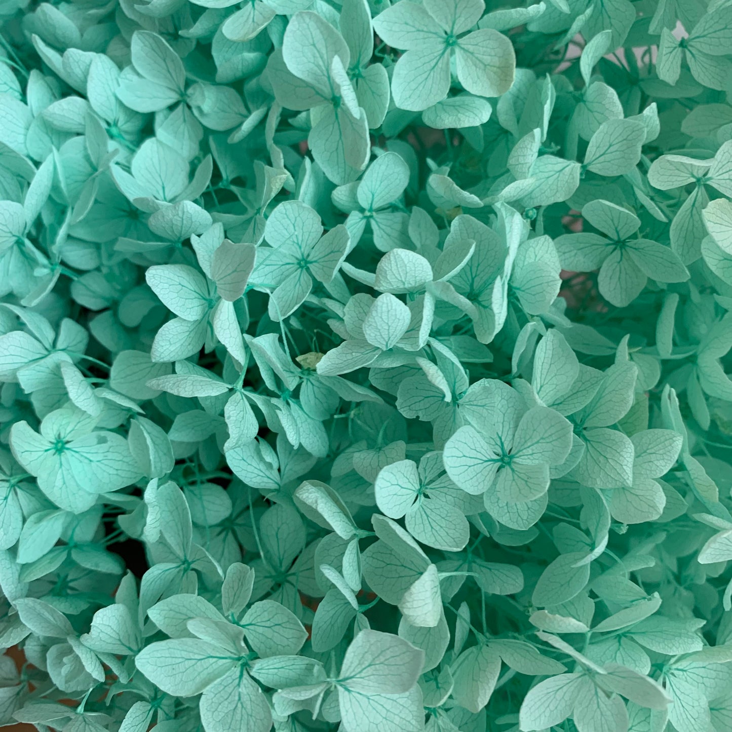 Forever Hydrangea Stems