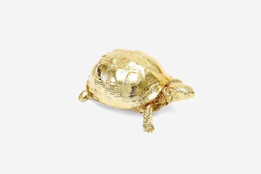 Gold Box Turtle Box
